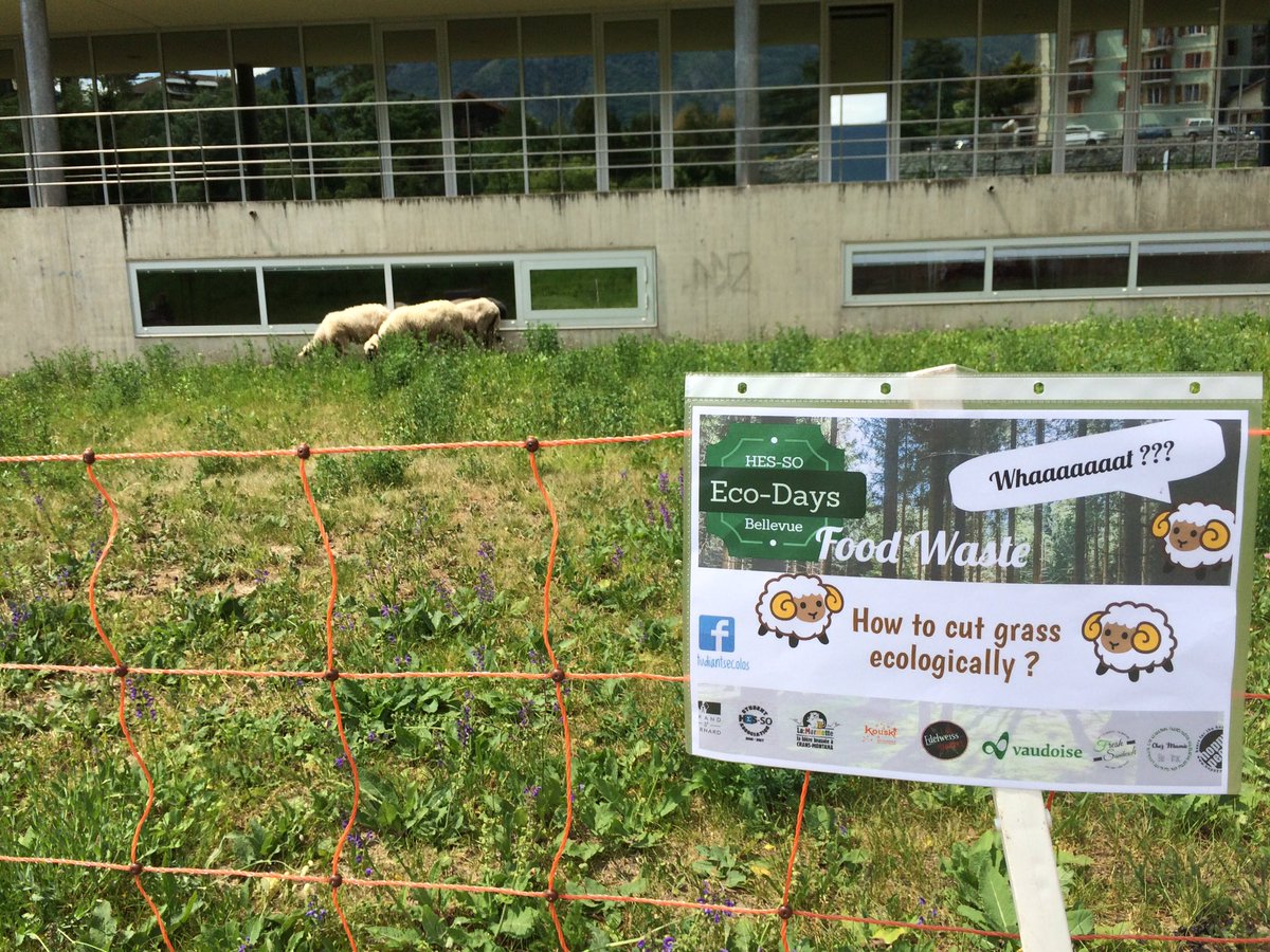 hessovalais's tweet photo. Des étudiants en #tourisme vous invitent à Bellevue Ecologique! 3 jours de #sensibiliation #écologie #ecodays #foodwaste #greenpoint https://t.co/DUEQ1YpQpm