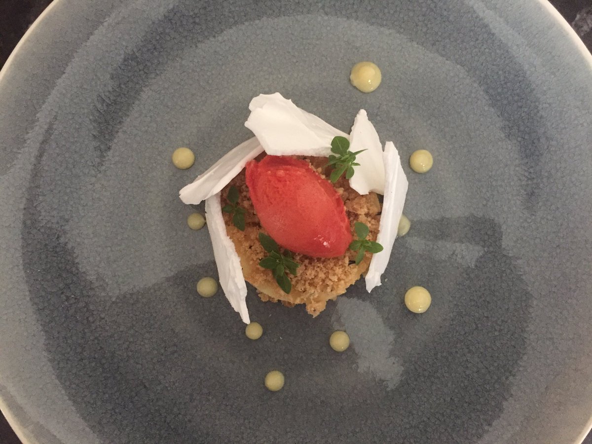dbleach1803's tweet photo. Pretty af #lemon dessert: set lemon #custard, lemon crumb, #meringue sheets, lemon #curd, blood orange sorbet #food #foodporn #homemade https://t.co/urXv6o7FWO