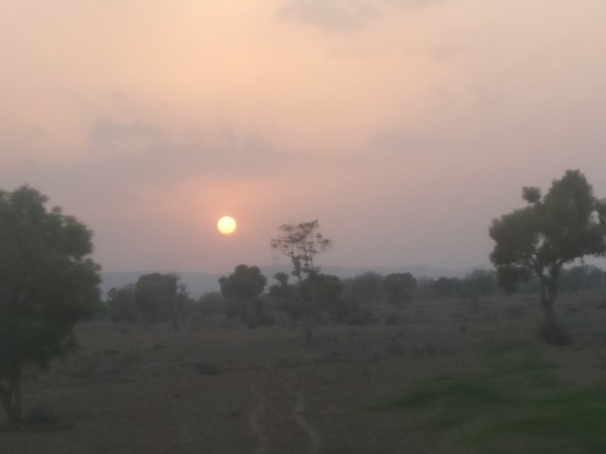 ndcnn's tweet photo. Sunset from my train window #TimelessIndia https://t.co/p66ZijDPkl