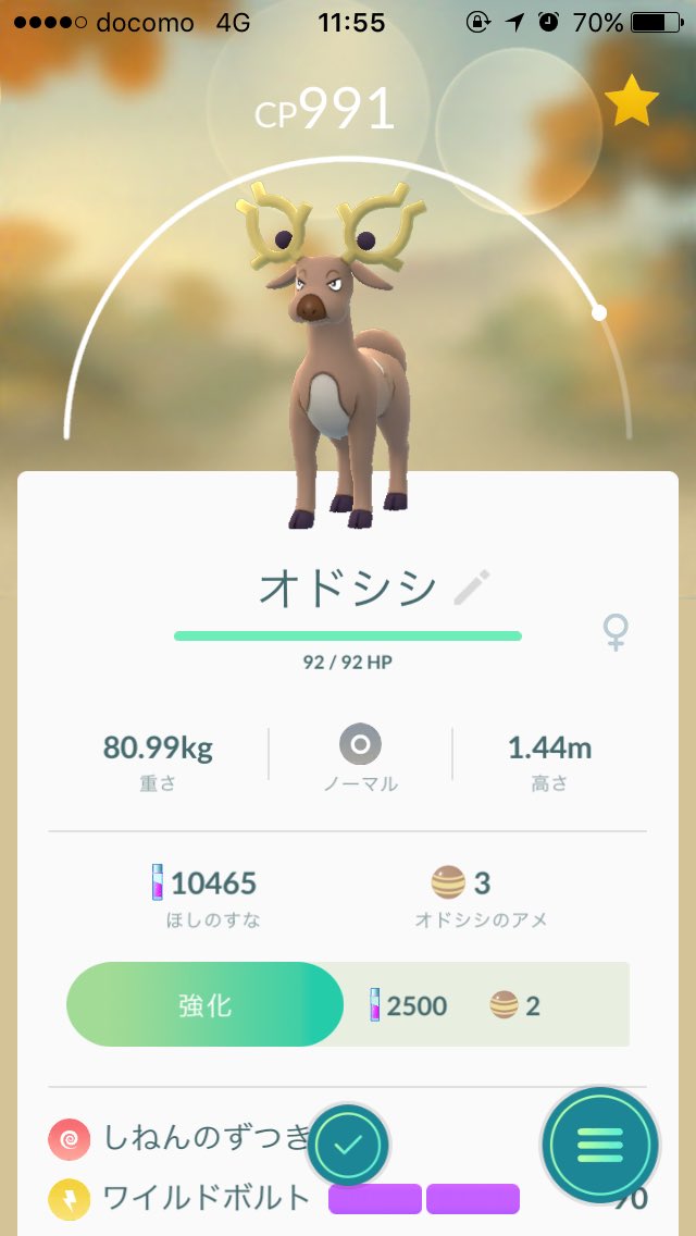 70以上 オオタチ 金銀 ポケモンの壁紙