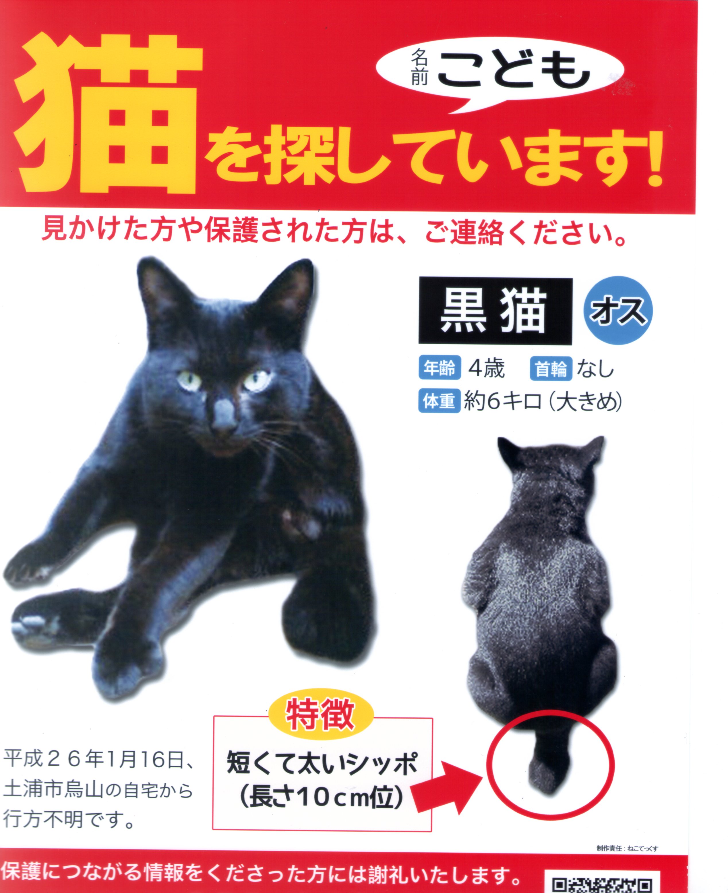 もりちゃん on X: もりちゃん on X: