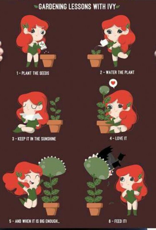 QueenCtyComicon's tweet photo. Poison Ivy wants you to remember that it's #WateraFlowerDay https://t.co/MfBNmctjLk