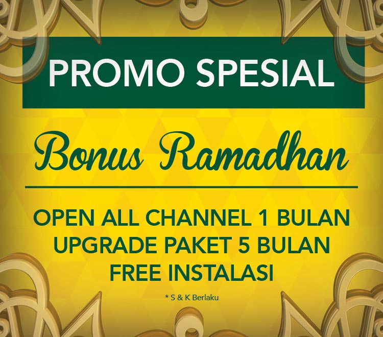 Transvision Lombok tweet media