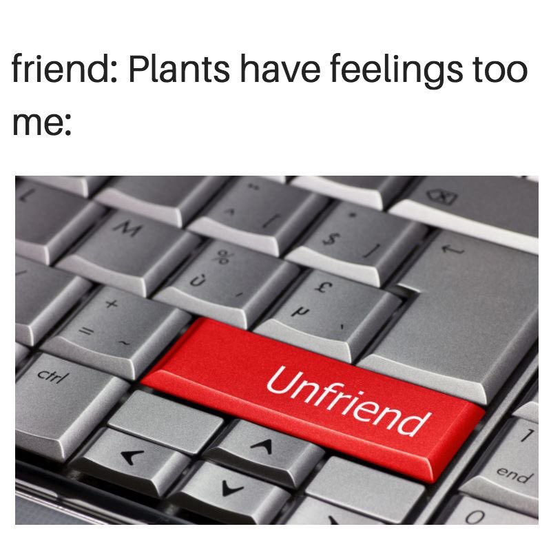 GoLoveVegan's tweet image. Haha #GoVegan #Typicalquestion #Plantshavefeelingstoo #Getagrip