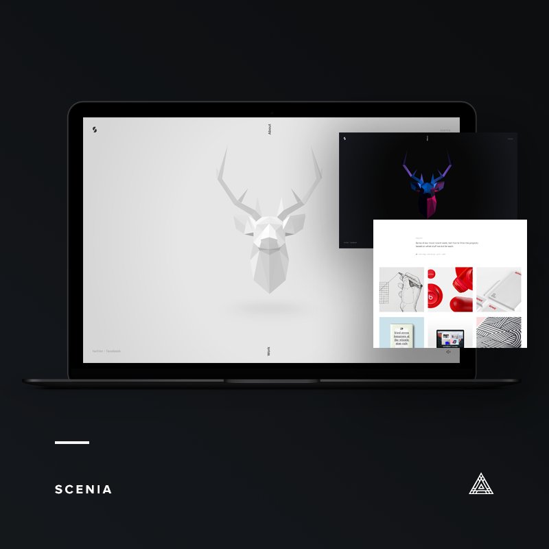 Did you get the chance to check out Scenia. You can find it here - goo.gl/CLh9KM