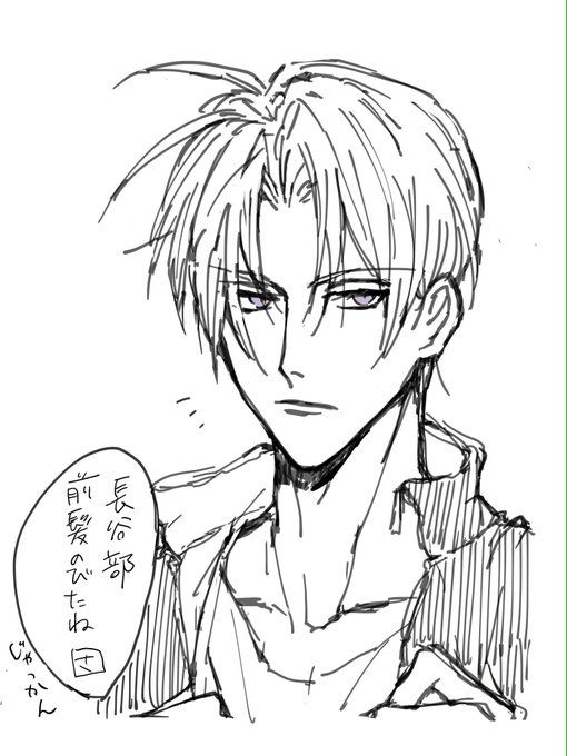 刀剣男士髪伸びないかな 