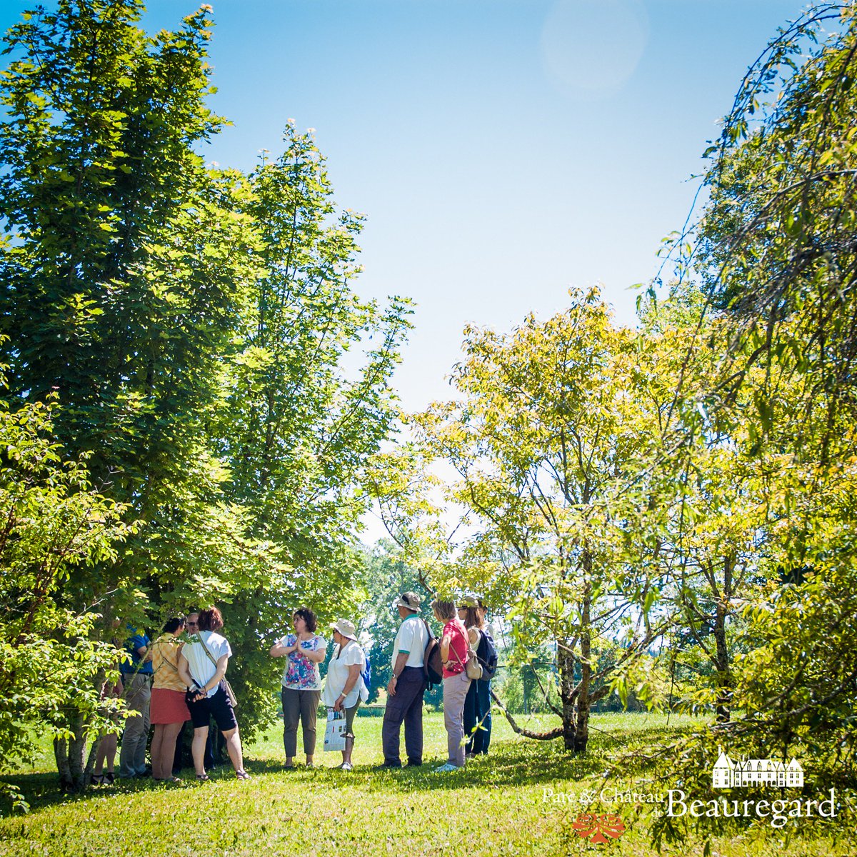 CDBeauregard's tweet photo. Ce week-end venez découvrir les jardins du parc de Beauregard :) #PartageAuJardin #loirevalley #valdeloire #châteaudebeauregard #loiretcher https://t.co/2tNLt8fwH3