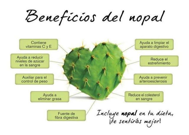 raulbrindis's tweet photo. #NotasDeImpacto El consumo de fibra de nopal en polvo contribuye a regular presión arterial e influye en el nivel de azúcar en la sangre. https://t.co/HtxoyMStXn
