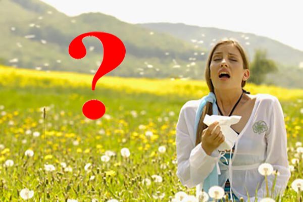 Hay Fever Relief App tweet media