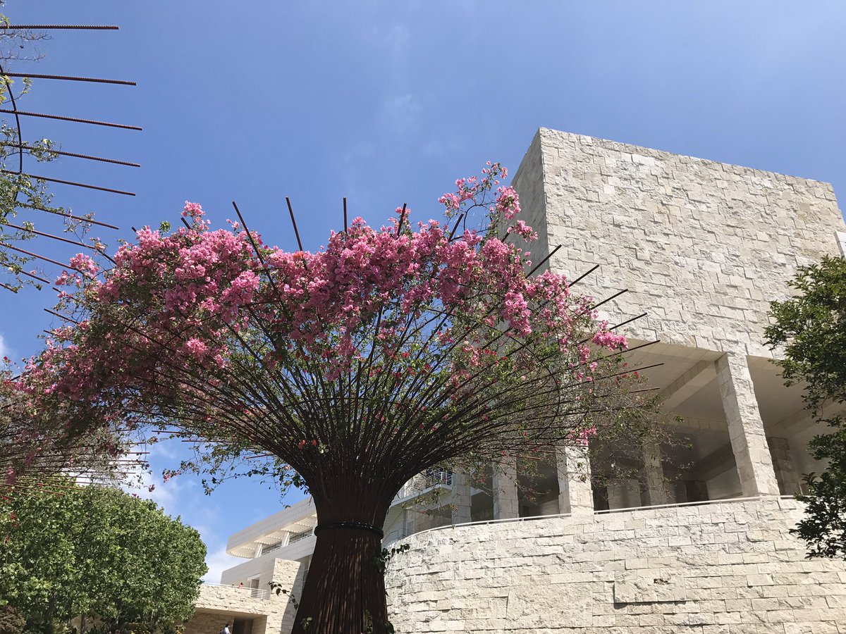 Hope everyone had a restful long weekend. The final countdown to #MV17 pitchfest starts...now. (ft. a snapshot from this wknd)