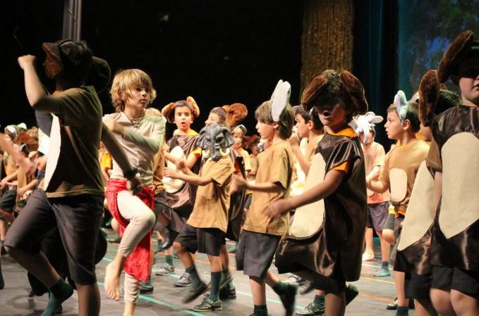 FibwiDiario's tweet photo. El @col_Llaut representa #JungleBook, su tercer #musical solidario @truiteatre https://t.co/a8oieSRtxt https://t.co/j0KUbISwoX