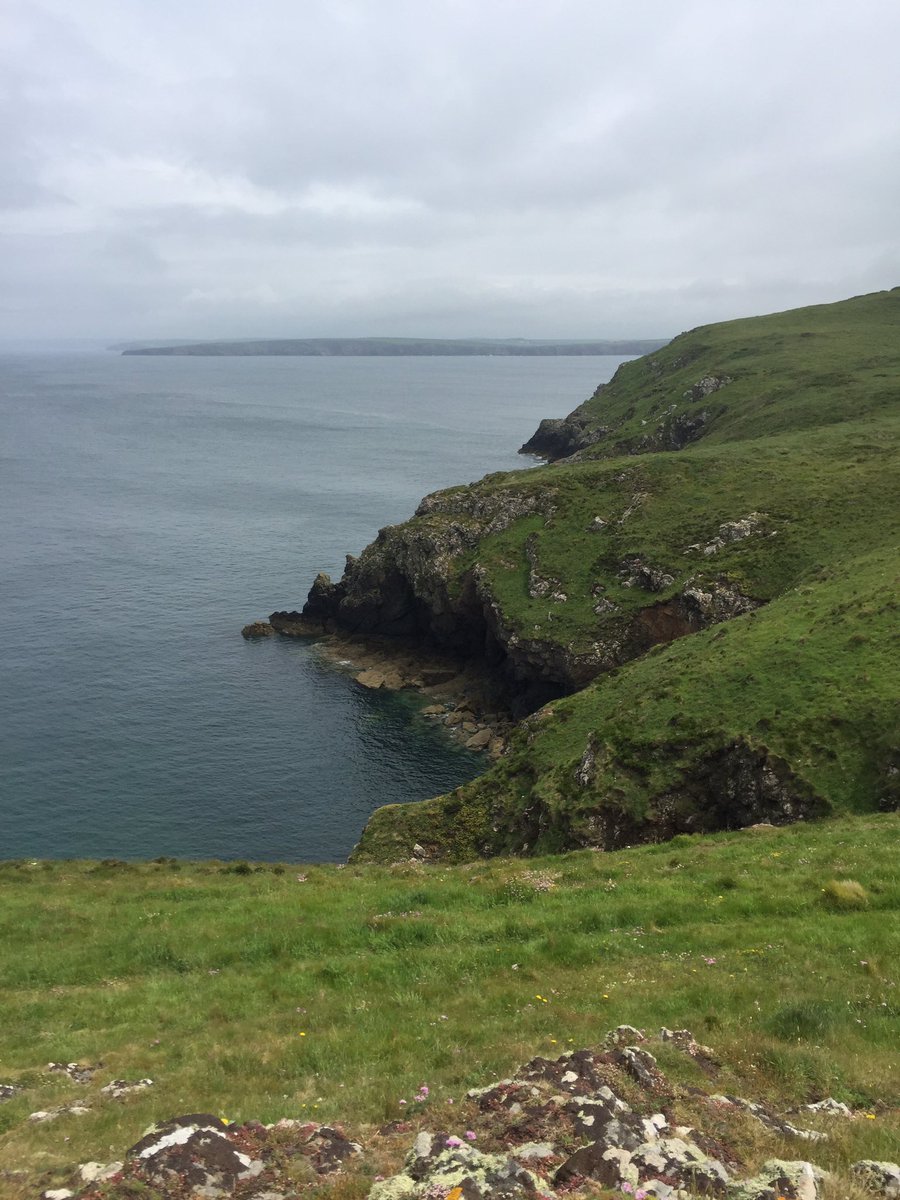 HillierWend's tweet photo. Spent afternoon walking #pembscoastpath #Marloes...because occasionally 'I do like to be beside the seaside beside the sea' π€ π@VisitPembs https://t.co/dsDqwxJbY3