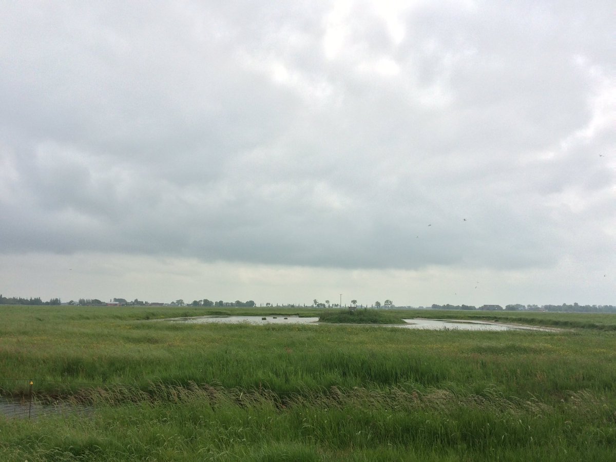 JacobdeBruin's tweet photo. Kluten met jongen bij de plasdras van onze buren Fam. Veenland. Dat is agrarisch natuurbeheer waar ik blij van wordt👍🏻😁#Tinallinge https://t.co/LFlF6KFCUs