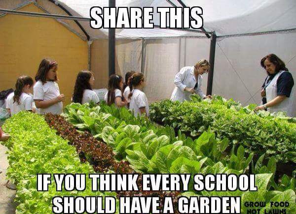 foodtank's tweet photo. RT if you think every school should have a garden! #foodtank https://t.co/l6CreuGKHs