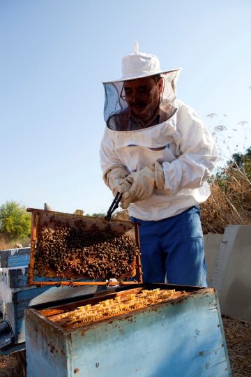 GMWatch's tweet photo. Beekeepers Continue to Experience Significant Losses as Pollinator Crisis Moves into 11th Year https://t.co/YI7Mo4jio5 #neonics #bees https://t.co/HUTxy7Gt7k