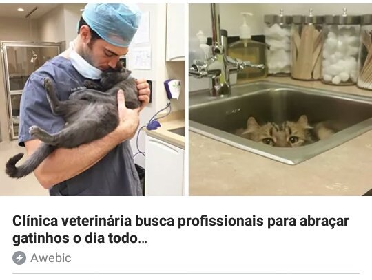 stephenkingx's tweet photo. onde eu deixo meu currículo???? https://t.co/fwCbP0Fjum