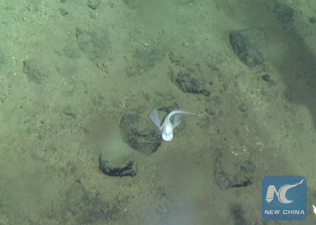 China Xinhua News tweet media