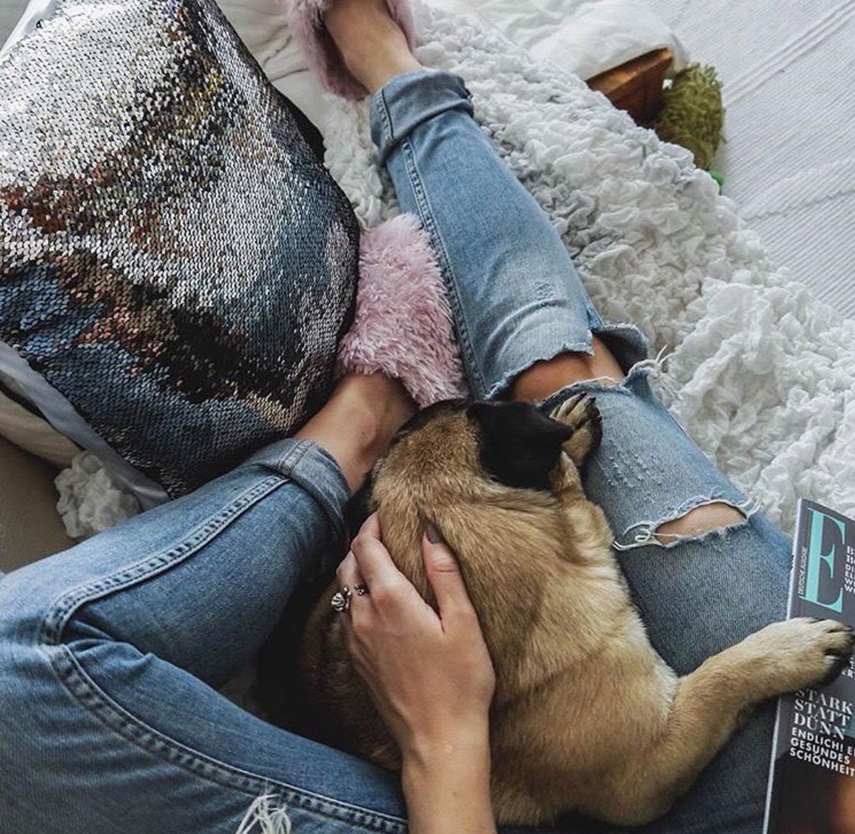 Wear Felicity tweet media