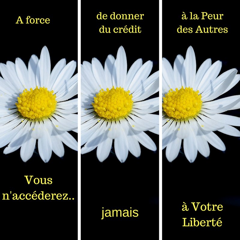 elianeroussel's tweet photo. Les peurs peuvent nous sauver mais aussi nous ralentir, restez libre

#Liberte #realisationdesoi #accesbars #developpementpersonnel #PNL https://t.co/v8HKve6Hrc