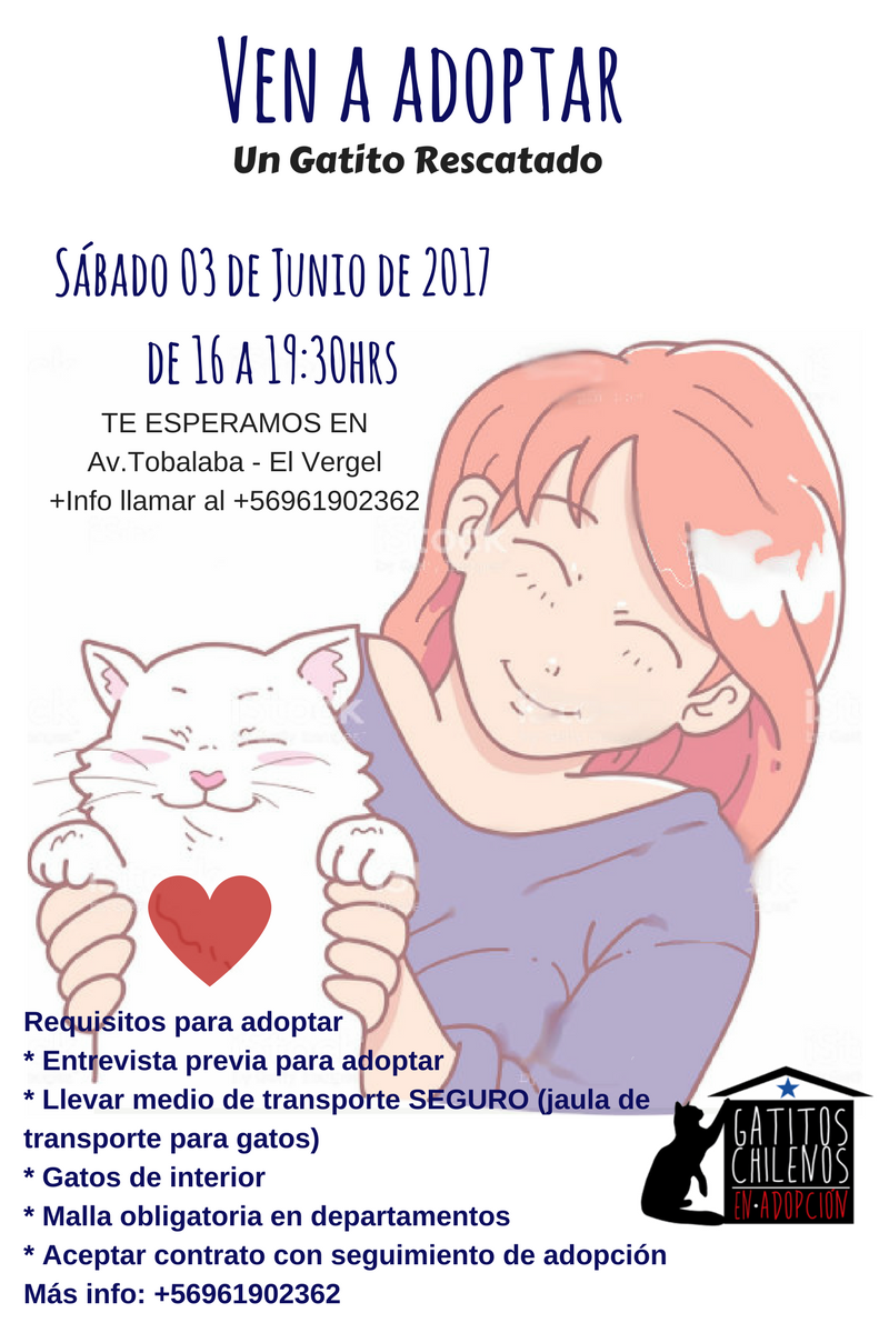 GATITOSCHILENOS's tweet photo. xfavor #Difusion de nuestra #JornadaAdopcion #GatitosEsterilizados #GatitosJuvenilesYCachorros Sab 3Junio #MetroColon @Muni_provi https://t.co/BktaArDEUb