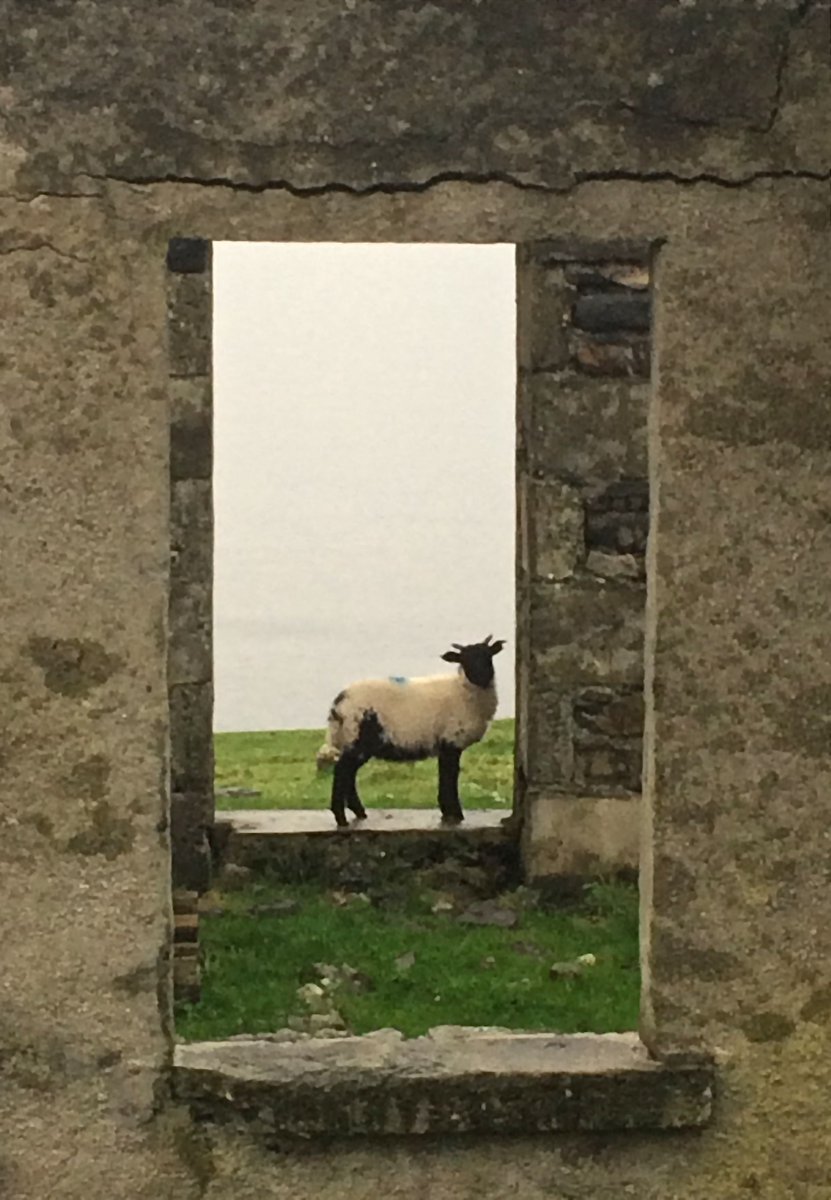 SoundofHarris's tweet photo. Gimme Shelter!  #Harris #OuterHebs https://t.co/QRWW1omqGR