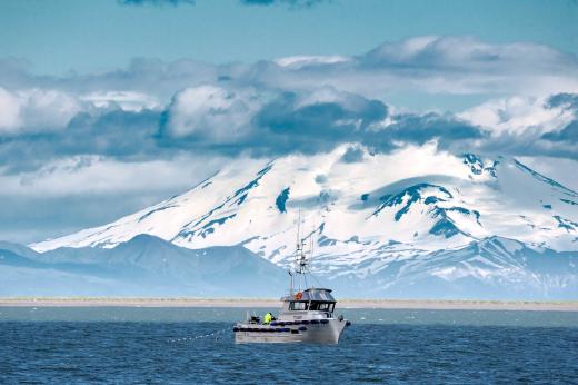 TroutUnlimited's tweet photo. Sustainable, wild-caught #salmon with a conscience @AKPrideBB https://t.co/YvSdeAtUTW #NoPebbleMine #BristolBay https://t.co/thM1oy1sCv