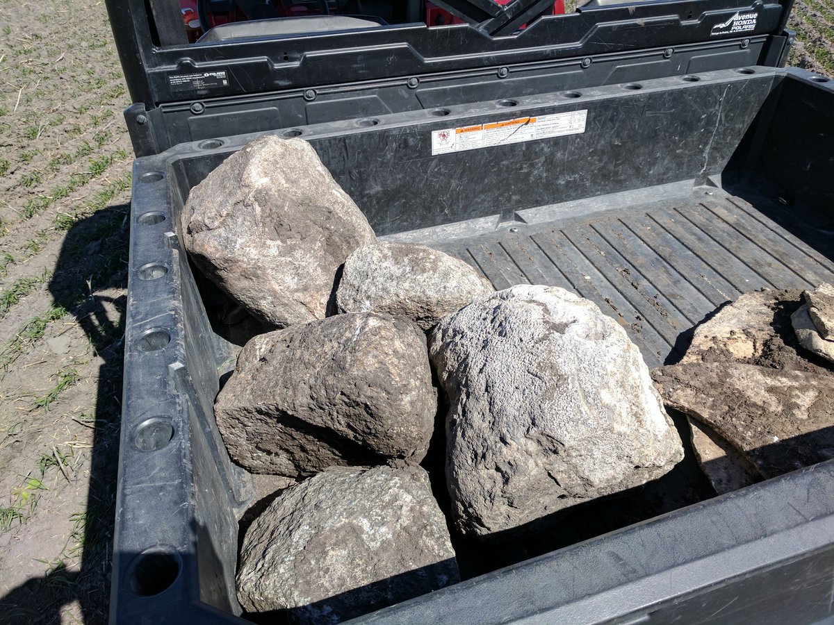 TLCourt's tweet image. Who needs to lift weights when there's rocks to pick #professionalrockpicker #myotherotherjob
