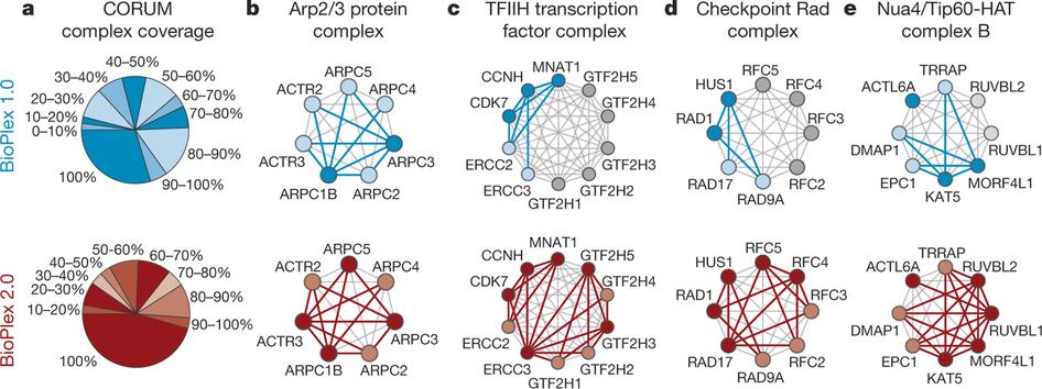 NaturePortfolio's tweet photo. The largest experimentally derived human protein interaction network so far, termed BioPlex 2.0, has been built https://t.co/Hp2eqoxtTy https://t.co/2rFMyjJZ7h