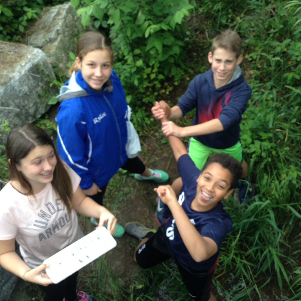 apshubert's tweet photo. Seventh graders had a fairly dry day for collecting aquatic macroinvertebrates. We'll use them to assess the water quality of the stream. https://t.co/qgCrXpd6rP