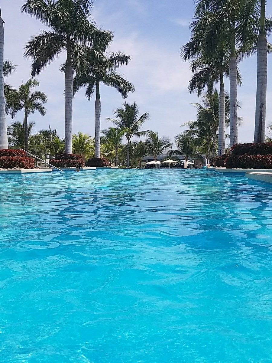 FashionsWeek's tweet photo. Poolside here @RiuHoteles #RioPalace #Guanacaste #CostaRica #iloveriu #myRiutrip #RiuHotels #beachlife 😎❤🌍#paradise https://t.co/v7yJTTZ3x8