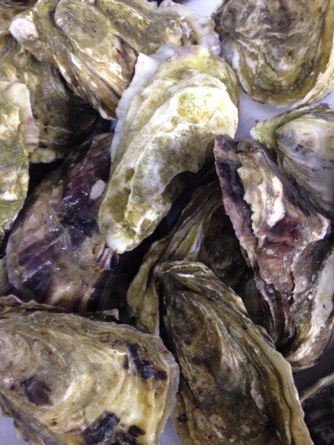 Trinity_restrnt's tweet photo. Come and see us soon for some fresh Jersey oysters! https://t.co/7uDRYiDljd