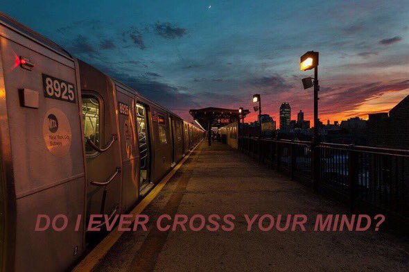 23headers's tweet image. ruin // shawn mendes