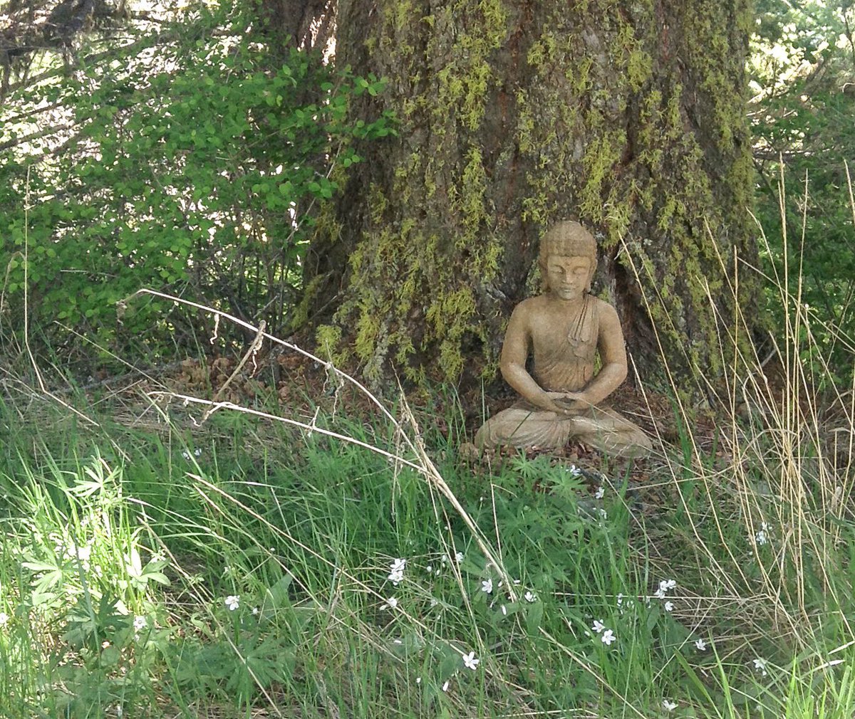 Aurelian Giles tweet media