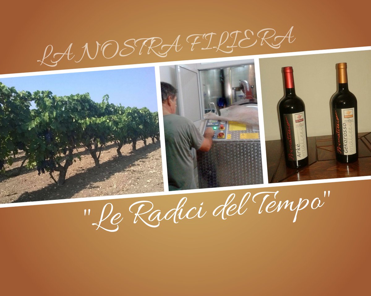 leradicideltemp's tweet photo. La nostra filiera ... #vino #wine #WeAreinPuglia #MadeInItaly #madeinpuglia #italianwine #puglia #vinoprimitivo https://t.co/dvEoQUusJd https://t.co/EYvyw0hT2b