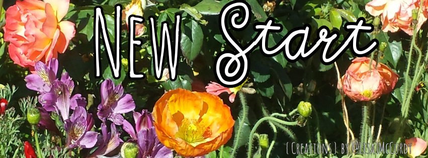 lisatmccurdy's tweet photo. Seasons change, long middles come to an end and new beginnings blossom. 
#carryon #creations #lisatmccurdy https://t.co/TJFNWfpd4i