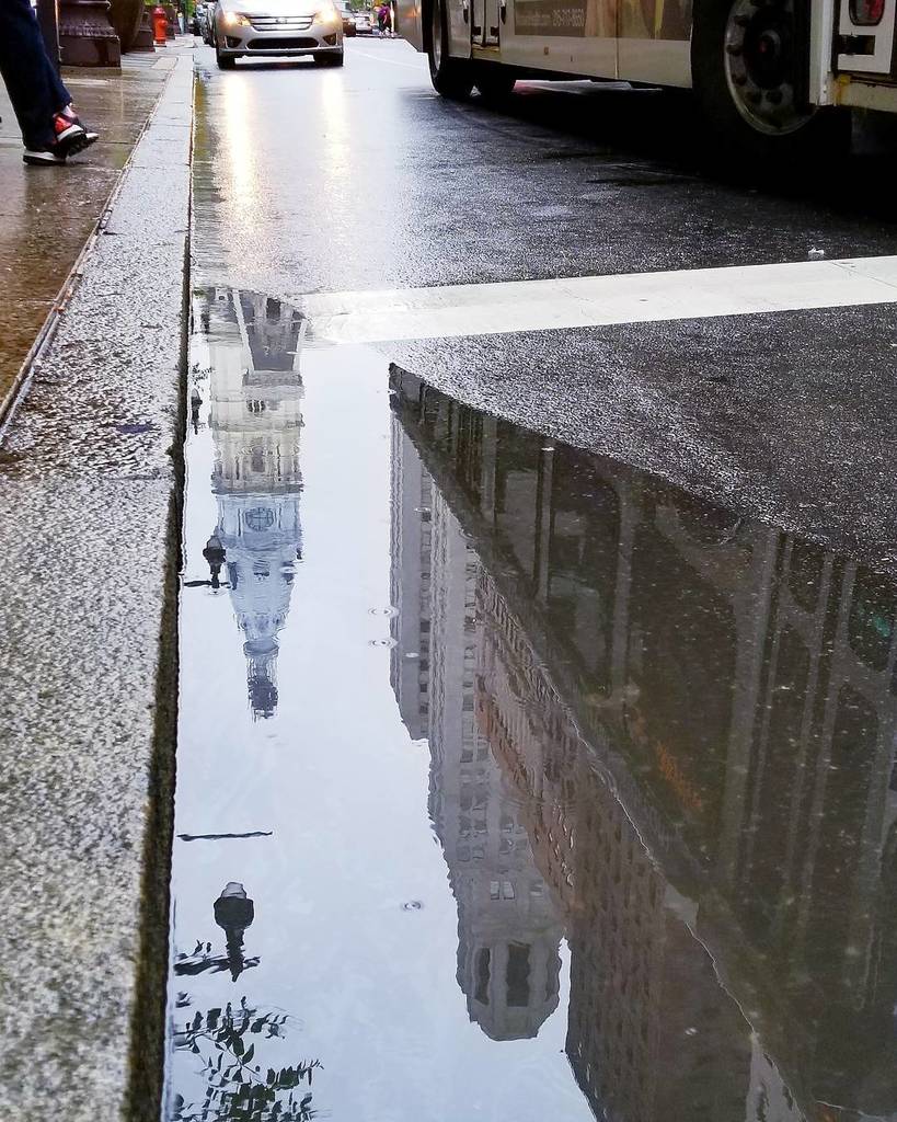 ALDIANews's tweet photo. Another rainy day in Philadelphia. #aldianewspeter #lunchandaphoto #igers_philly #savephilly #puddlepics #rain #phโฆ https://t.co/uZJ1vm1A3a https://t.co/uCyTJcF3CF