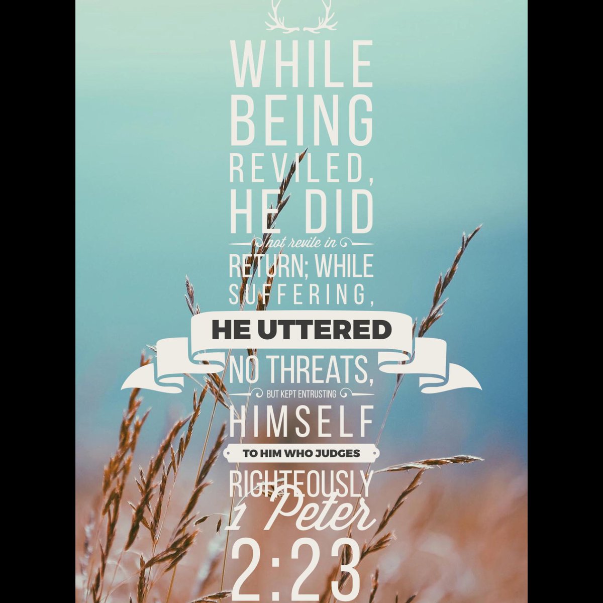 NScottMcC's tweet image. #entrusting