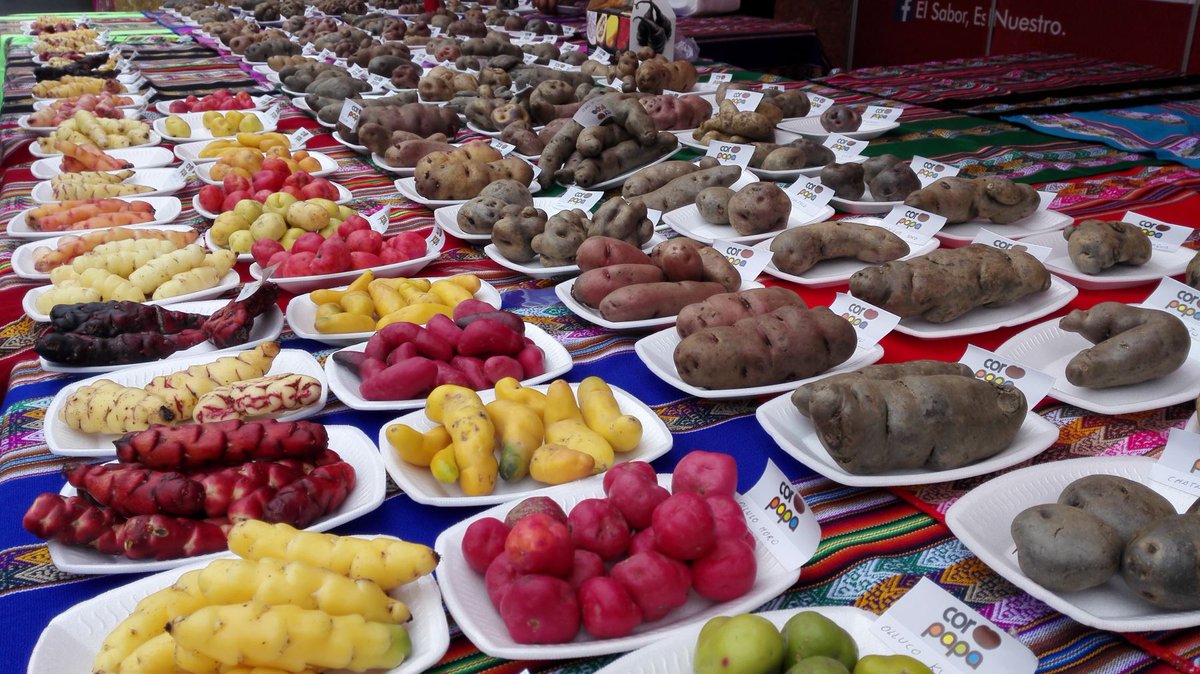 IngconsaSac's tweet photo. El Perú cuenta con más de 3000 variedades de papa, y de ellas preparamos los platillos más sabrosos 😍 😋 #DiaNacionalDeLaPapa https://t.co/ED3ZLUo1w7