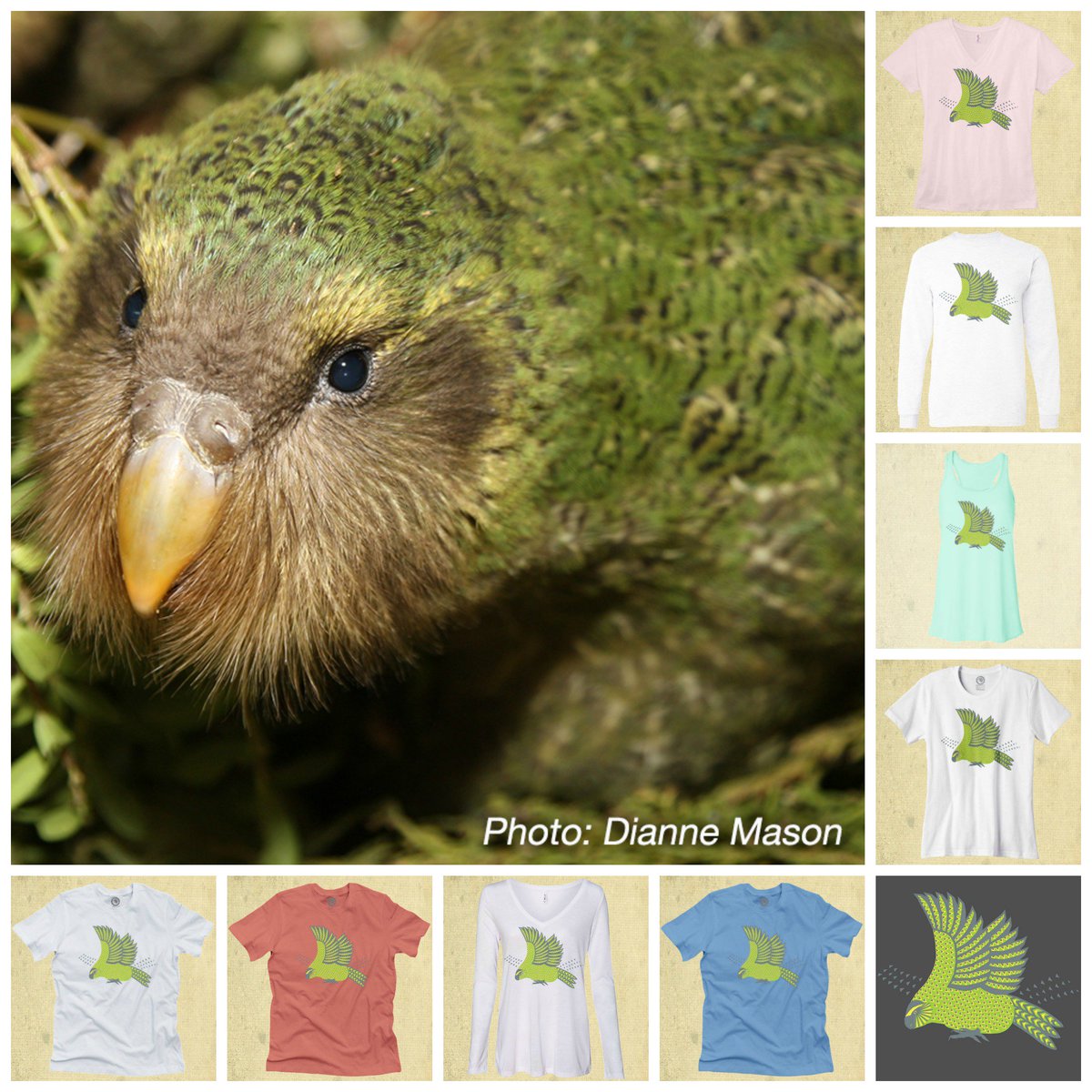 This week's incredible design features the kākāpō of New Zealand. Help Kākāpō Recovery bring them back from the brink of extinction!