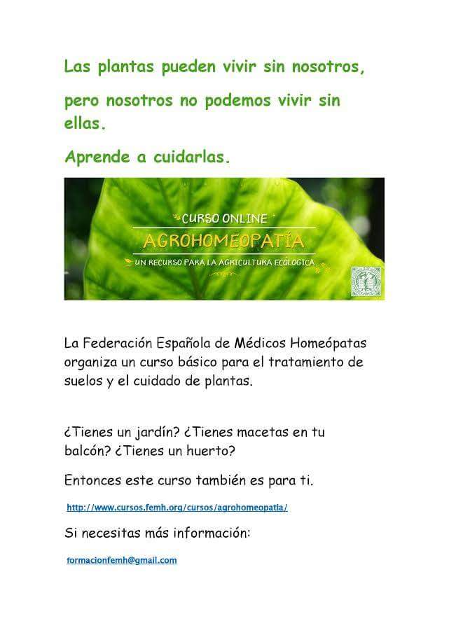 Las plantas pueden vivir sin nosotros, pero nosotros sin ellas no. Aprende a cuidarlas: taller de agrohomeopatía