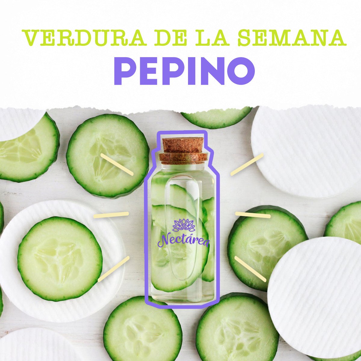 NectareaMX's tweet photo. Toda la semana publicaremos los beneficios, recetas y tips del pepino #Nectarea https://t.co/lZw68fcjEJ