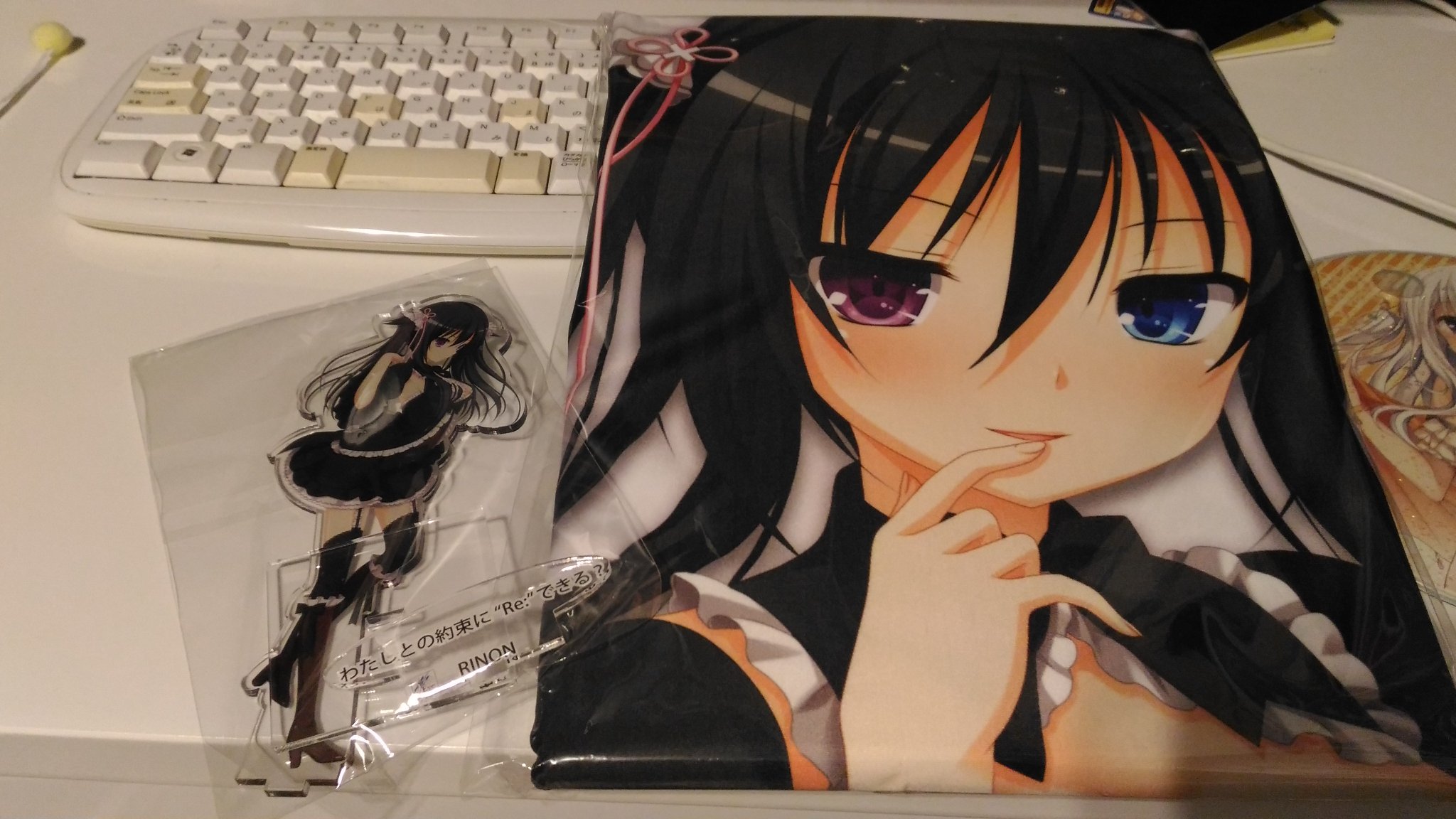 oo Re Non リノン様届いた 念願のリノン様抱き枕カバー ッ 3rdeyeありがとう 3rdeye Re Non 幻創のイデア oo Re Non リノン様届いた 念願のリノン様抱き枕カバー ッ 3rdeyeありがとう 3rdeye Re Non 幻創のイデア