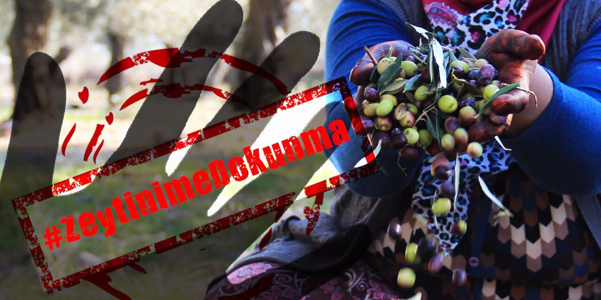 EdremitBelediye's tweet photo. 117 milyon zeytin ağacını kurtar! #ZeytinimeDokunma

İmza için --> https://t.co/D9DvyDZ7bT https://t.co/qKAi2MsSao