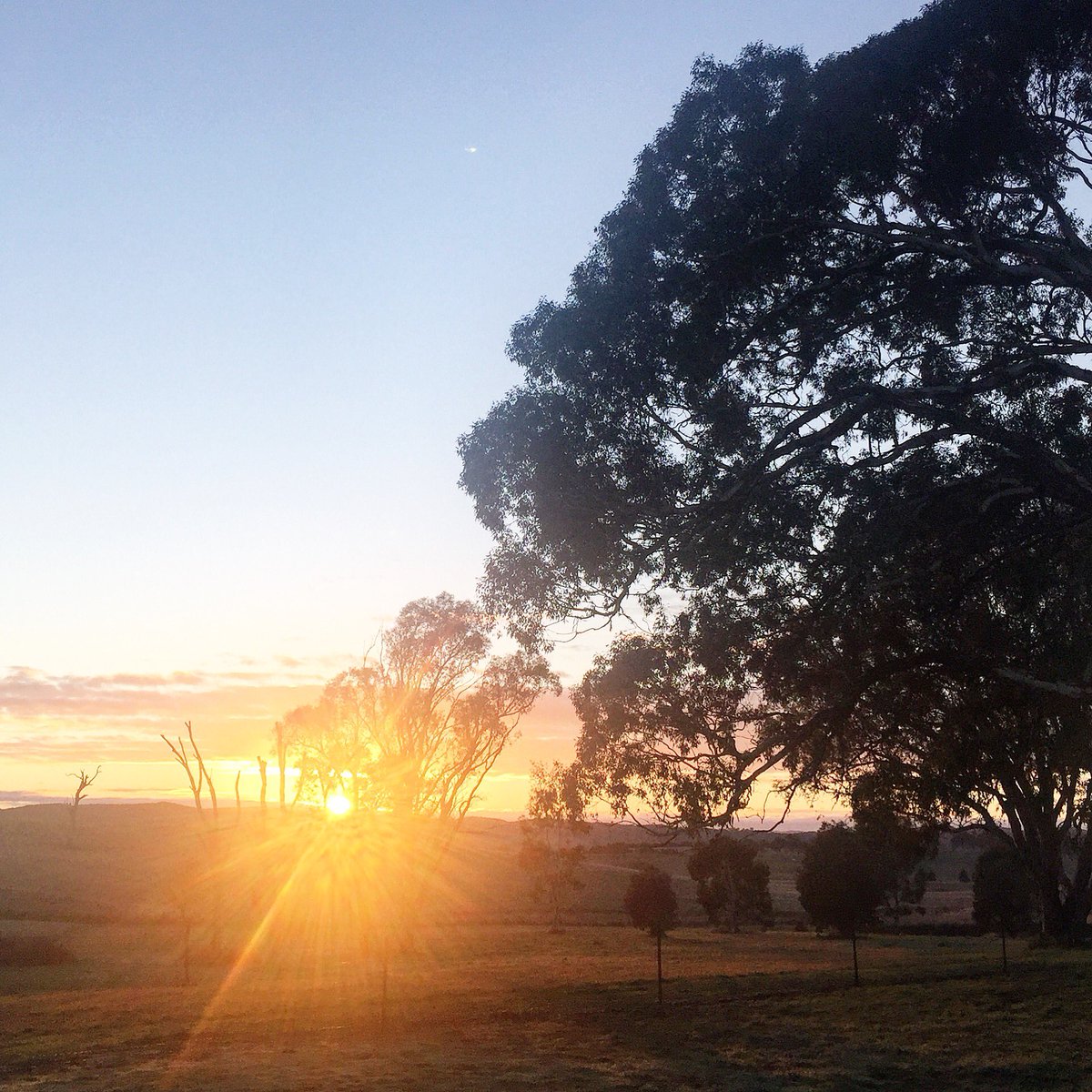 HandmadeMarket's tweet image. After some overnight rain we have a beautiful sunny morning. 12° today. #lovecbr #goodbyeautumn