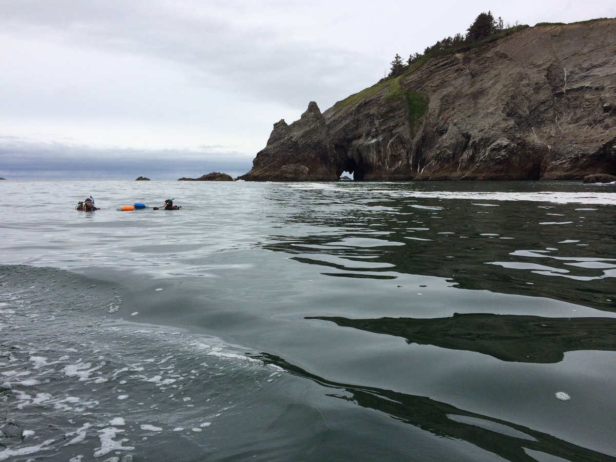 1 boat, 2 days, 6 scuba divers, 10 dives, and 40 transects. and over 25 lander drops... more to come! #capefalcon #oregon #marinereserves