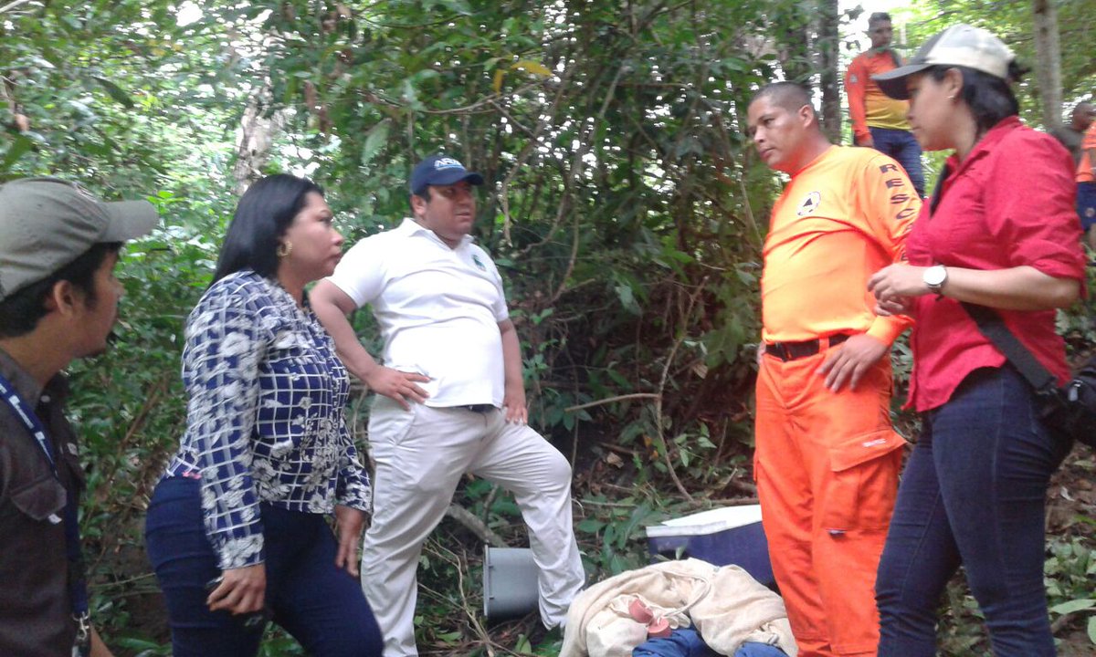 MiAmbientePma's tweet photo. Se trabaja en maniobra de rescate para traslado de delfín hacia puerto Pedregal, Chiriquí. Participa @Sinaproc_Panama  @SENANPanama y ARAP https://t.co/glnalN3BF3