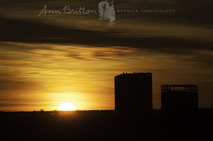 PhotoAnnBritton's tweet photo. #sunrise #OutbackStyle #Goodwood #bigSkyCountry #ChannelCountry #MinMinLand #asitisMyOutback https://t.co/cp1RR2FUGe