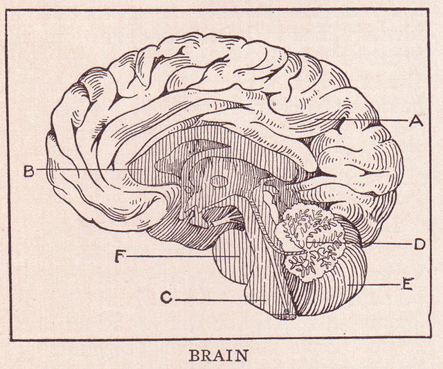 Another good read today; this one from @BriannaKestle. Creativity & the Brain: https://t.co/lYYboIRmul 