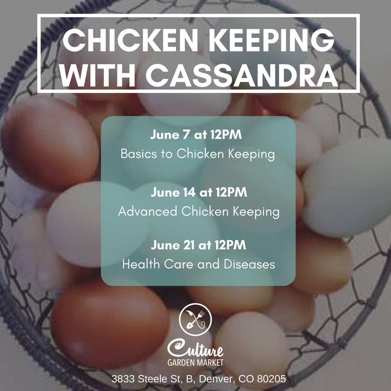 TheCultureStore's tweet photo. Check out this great chicken keeping series coming in June! 🐔🐣 #chickenkeeping #backyardchickens
https://t.co/WrIKtYuJ2g https://t.co/dhSNQC7rrV