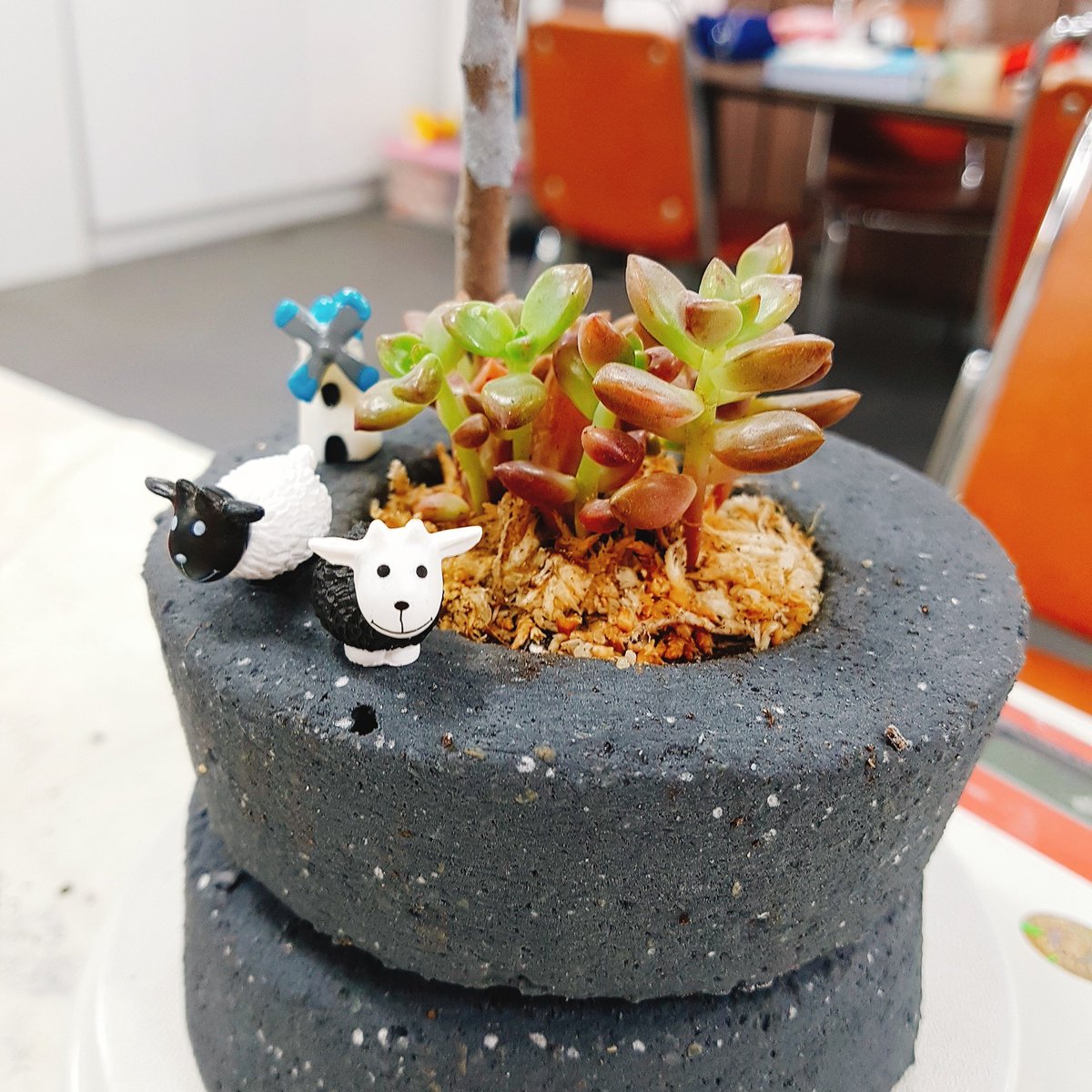 AliceLoveRy's tweet image. #다육아트 #새집증후군 #미세먼지 #다육이 #에코탄아트 #에코탄 #새집증후군제거 #새집증후군식물 #미세먼지제거 #맺돌식물 #맺돌다육이 #맺돌  #풀잎문화센터  

cafe.naver.com/sswpulib
band.us/n/a1a4UfIaV4hbX